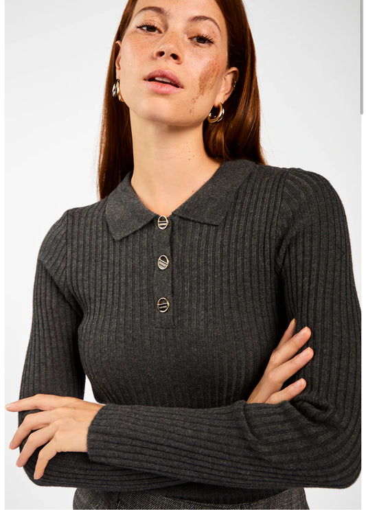 Aaiko flores polo