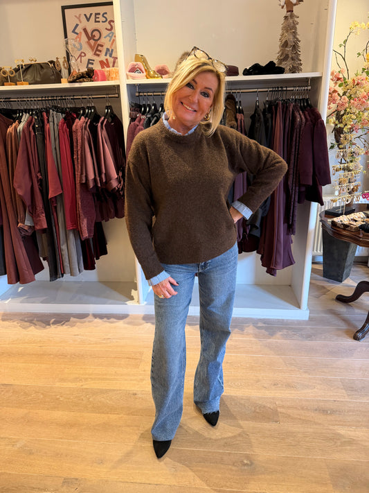 Trui bruin met blauwe kraag